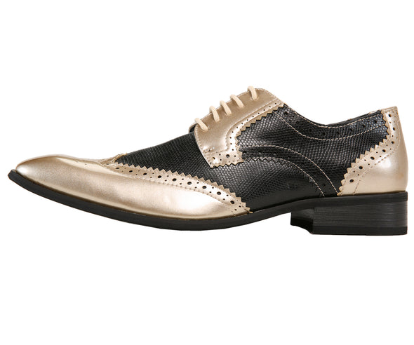 Men Shoe Amali Black/Gold-5846-035