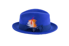 Men Fashion Hat-Trilby Royal