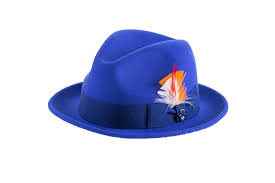 Men Fashion Hat-Trilby Royal